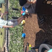 E01EC283-E159-4195-9A08-DB0120062B5A